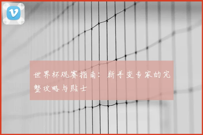 世界杯观赛指南:新手变专家的完整攻略与贴士