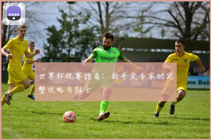 世界杯观赛指南:新手变专家的完整攻略与贴士